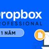 Dropbox 2tb-75243